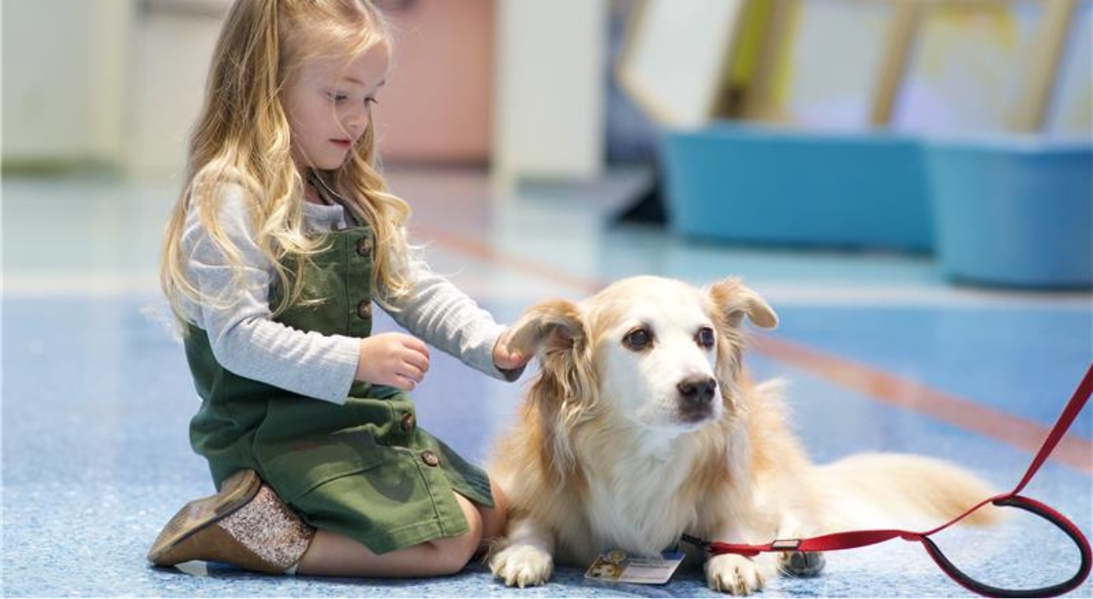 little girl petting a therapy dog