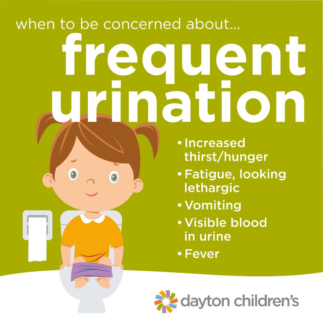 when to be concerned about frequent urination Dayton Childrens Hospital