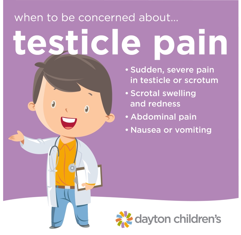 when to be concerned about testicle pain Dayton Children s Hospital