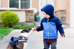 how to protect kids from dog bites