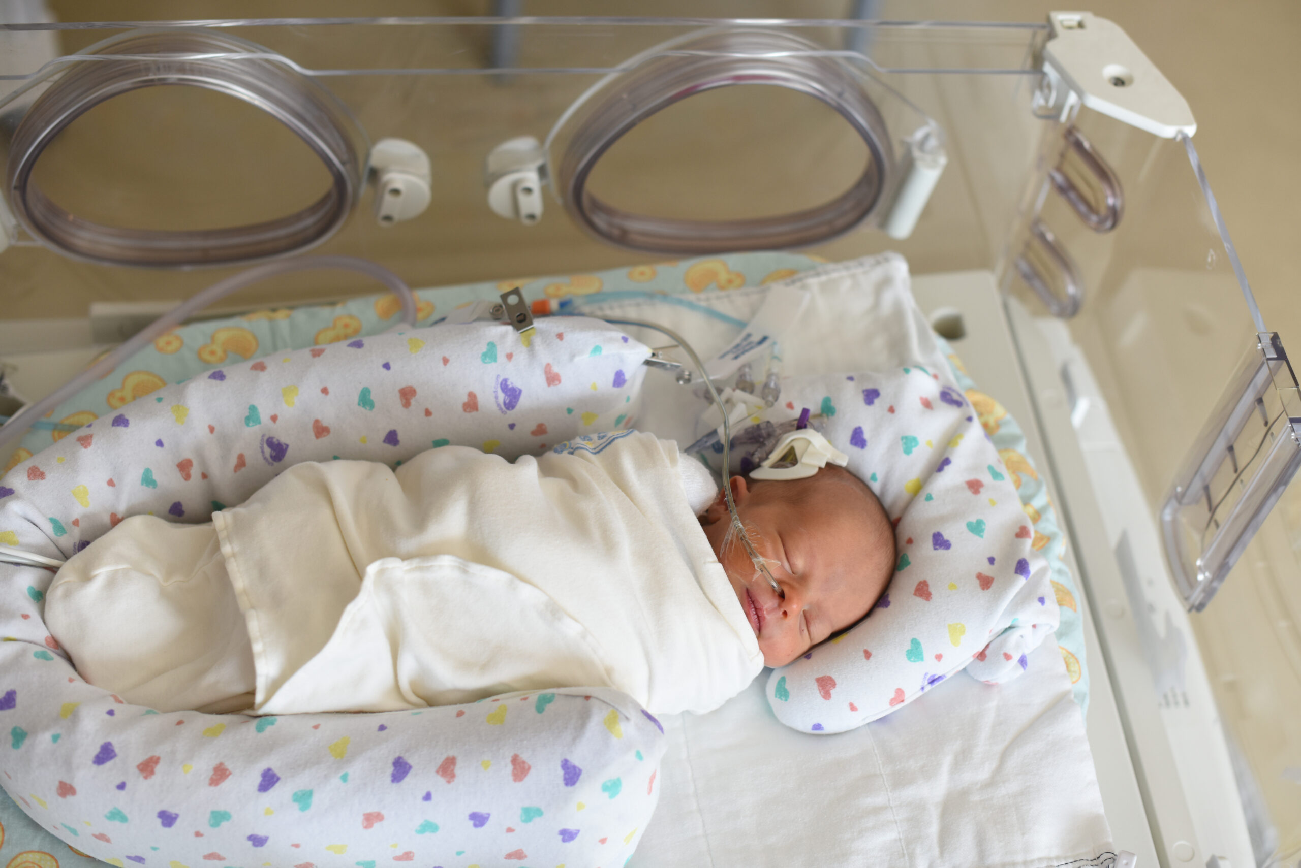 A baby sleeps soundly in their giraffe bed in the Dayton Children’s NICU.