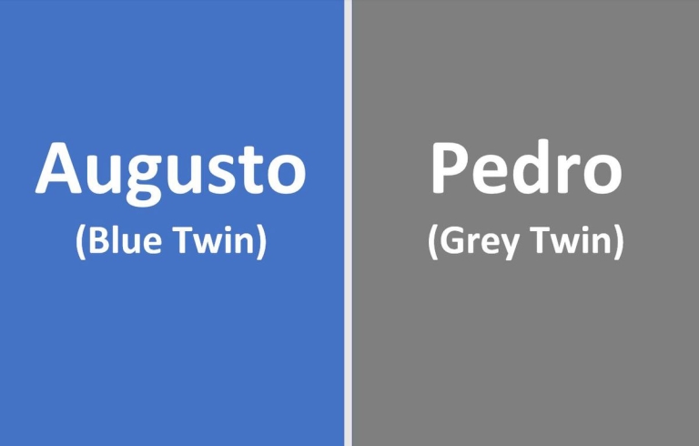simple graphic explaining the codes that doctors used in Augusto and Pedro's surgery