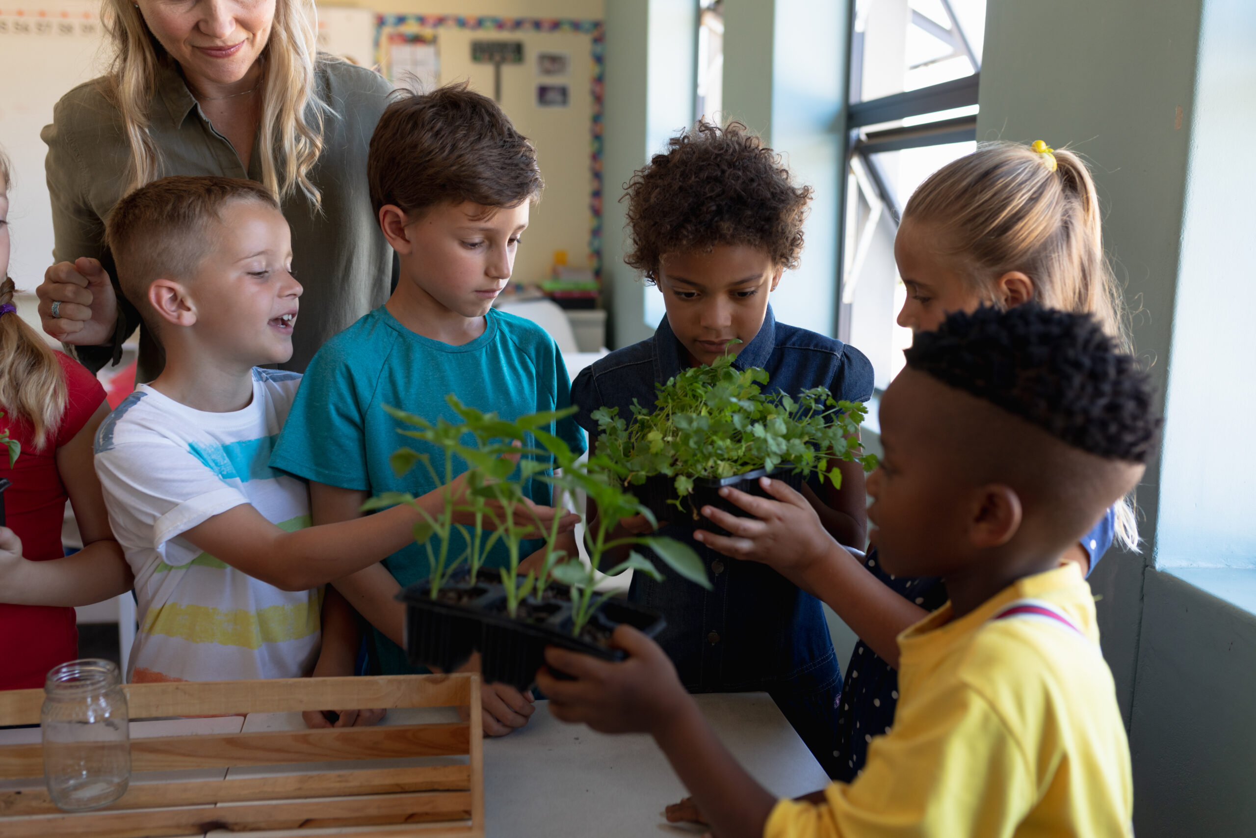 teacher supervises students who are studying and learning about plants in the classroom