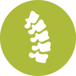 spinal curve